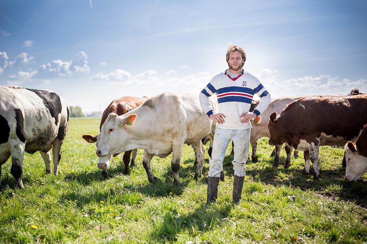 Koop een koe | Duurzaam en eerlijk vlees